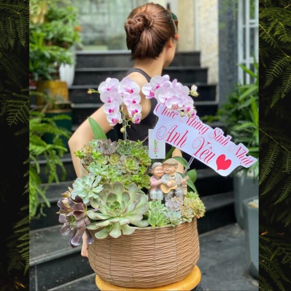 Giỏ Hoa Sen Đá Mix Lan Hồ Điệp Mini Hồng Để Bàn – Quà Kỷ Niệm Ngày Cưới Tình Yêu Vĩnh Cửu