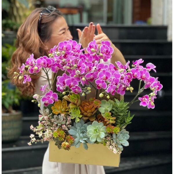 Lẵng Hoa Sen Đá Mix Lan Hồ Điệp Hồng Sang Chảnh Làm Quà Cho Sếp