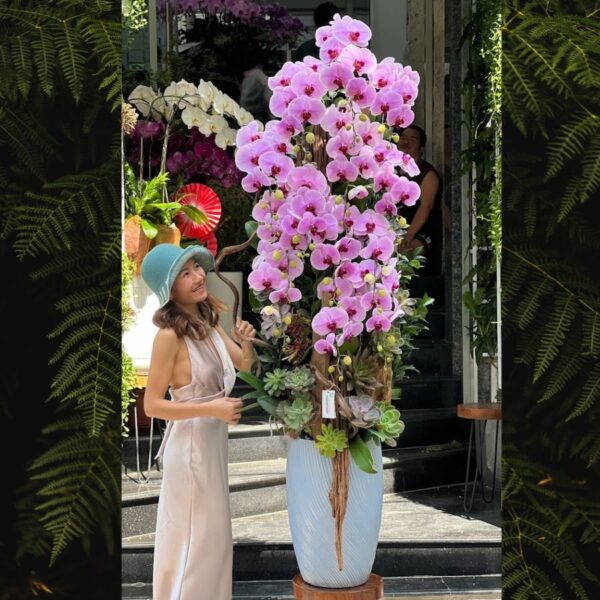 Chậu Hoa Lan Hồ Điệp Hồng Dáng Cao Sang Trọng Mix Gỗ Lũa