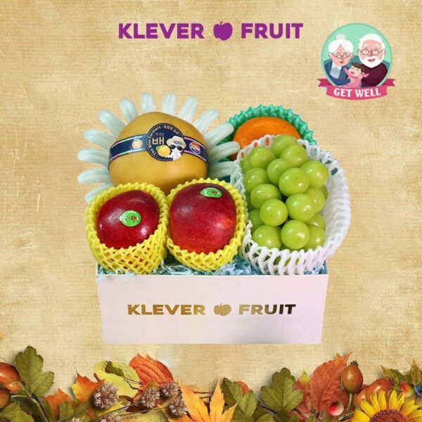 Giỏ quà chúc sức khỏe Ông/ Bà - 04 - Quà Trái Cây - Klever Fruit