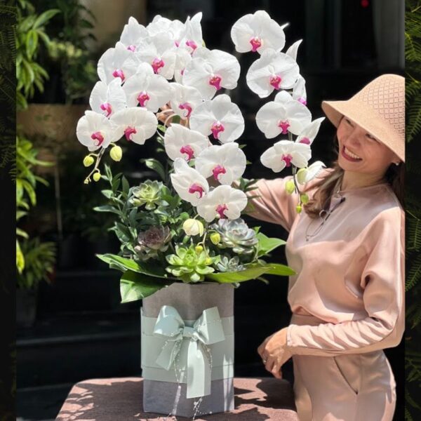 Hoa Sinh Nhật Đẹp Tặng Bạn Thân – Lẵng Hoa Lan Hồ Điệp Để Bàn Màu Trắng Đốm Hồng