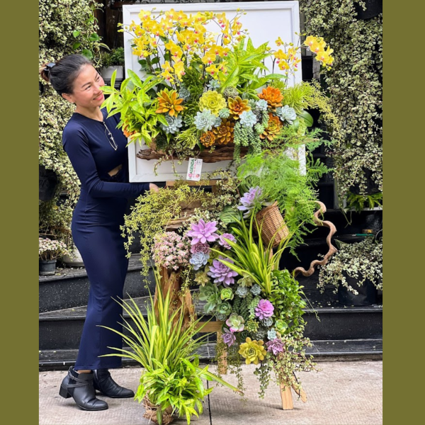 120-600x600-1.png Kệ Hoa Lan Hồ Điệp Mini Vàng Mix Sen Đá Trồng Trên Lũa Gỗ Decor Cực Ấn Tượng - Image 1