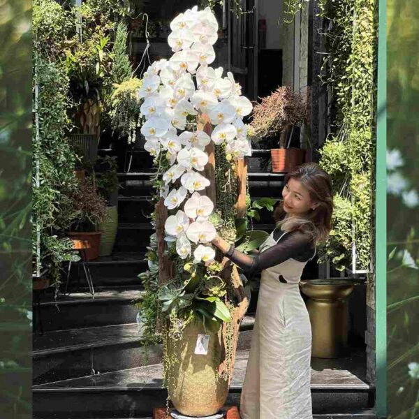 Bí Quyết Chọn Chậu Lan Trồng Trên Gỗ Lũa Làm Quà Khai Trương