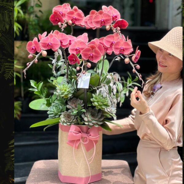 Lẵng Hoa Lan Hồ Điệp Đỏ May Mắn – Hoa Sinh Nhật Cho Nam Giới