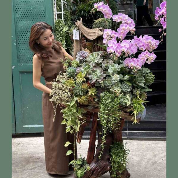 Gỗ Lũa Sen Đá Mix Lan Hồ Điệp – Quà Tặng Khách Vip