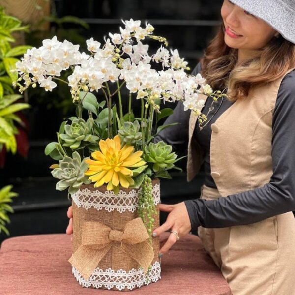 Lẵng Hoa Lan Hồ Điệp Mini Trắng Để Bàn Mix Sen Đá Vàng Ấn Tượng