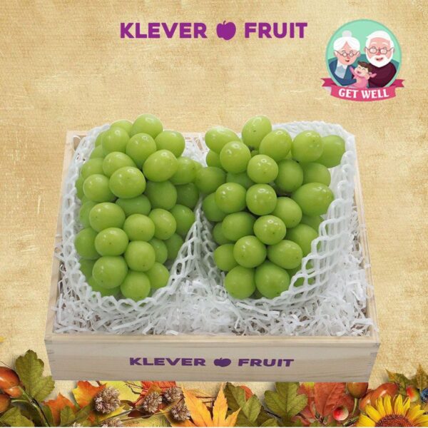 Hộp quà chúc sức khỏe Ông/ Bà - 06 - Quà Trái Cây - Klever Fruit