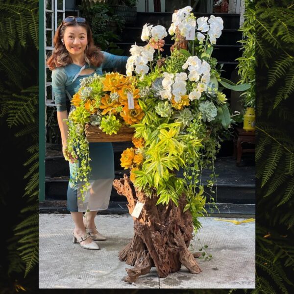 Lũa Lan Hồ Điệp Mix Hoa Sen Đá Tươi Đẹp Cả Tháng – Sang Trọng Bậc Nhất Sài Thành