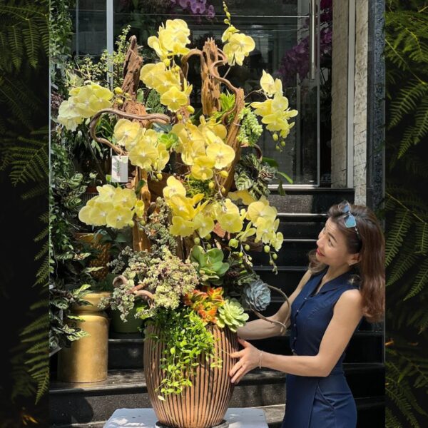 Chậu Lan Hồ Điệp Vàng Mix Gỗ Lũa Dáng Cao Sang Trọng