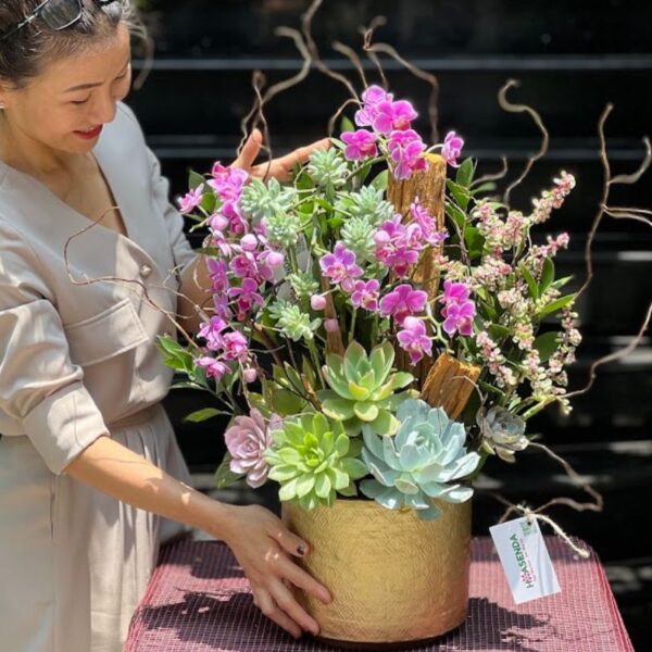 Hoa Sinh Nhật Cho Bạn Gái – Bình Hoa Lan Hồ Điệp Mini Hồng Để Bàn Trồng Cùng Sen Đá, Gỗ Lũa