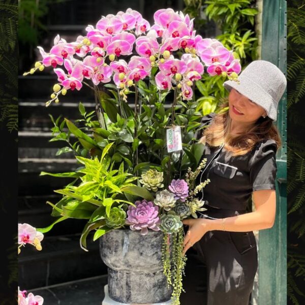 Bình Lan Hồ Điệp Màu Hồng Ghép Sen Đá Tím – Hoa Sinh Nhật Đẹp Tươi Lâu