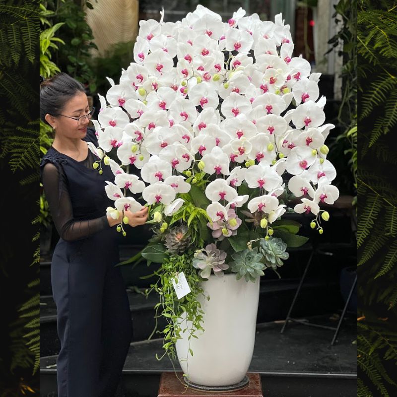 8-1-1.jpg Chậu Lan Hồ Điệp 15 Cành Màu Trắng – Hoa Hồ Điệp Mix Sen Đá - Image 1