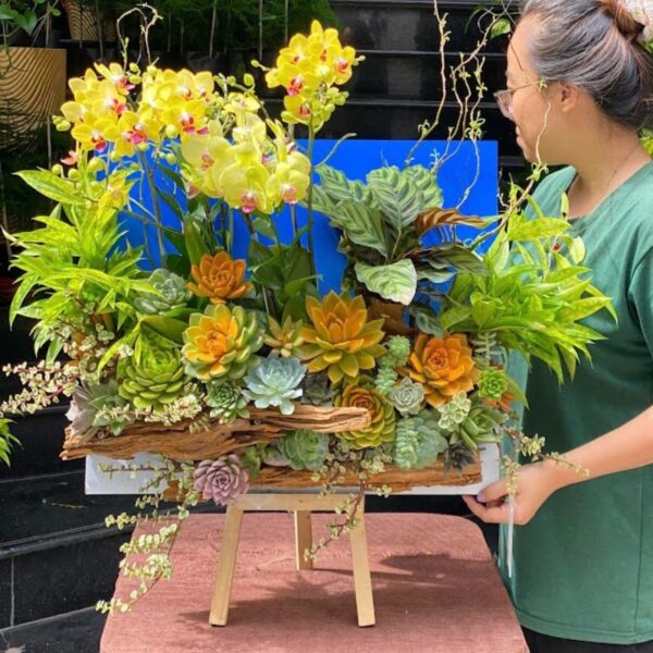 Kệ Hoa Tranh 3D Để Bàn – Hoa Lan Hồ Điệp Mini Vàng Mix Sen Đá