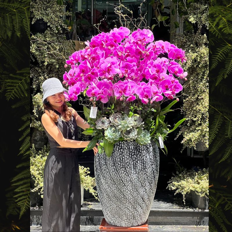 9-2.jpg Chậu Lan Hồ Điệp Tím Khổng Lồ, Hoa Lan Khai Trương, Hoa Lan Sinh Nhật - Image 1