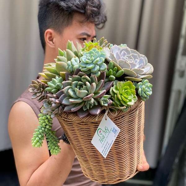 Hoa Mừng Sinh Nhật Đẹp – Món Quà Tinh Thần Ý Nghĩa