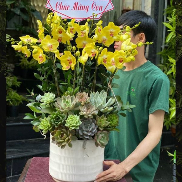 Thiet-ke-chua-co-ten-44-600x600-1.jpg Chậu Lan Hồ Điệp Vàng Mix Sen Đá – Hoa Lan Tặng Khai Trương, Sinh Nhật Đẹp Tươi Lâu - Image 1