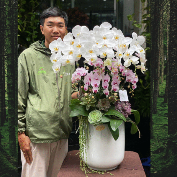 Bình Lan Hồ Điệp Để Bàn Màu Trắng và Hồng Cao Cấp Mix Sen Đá: Điểm Nhấn Sang Trọng Mọi Không Gian