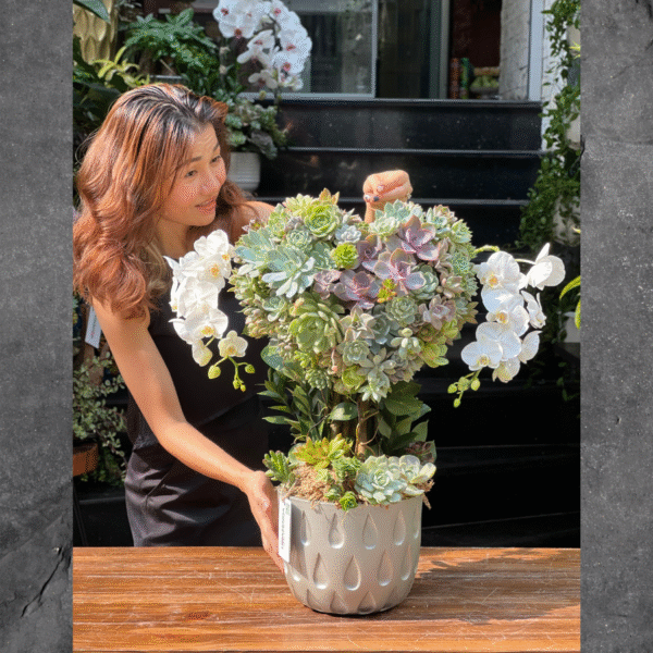 Chậu Hoa Sen Đá Trái Tim Mix Lan Mini Trắng: Món Quà Sinh Nhật Vợ Đầy Ý Nghĩa