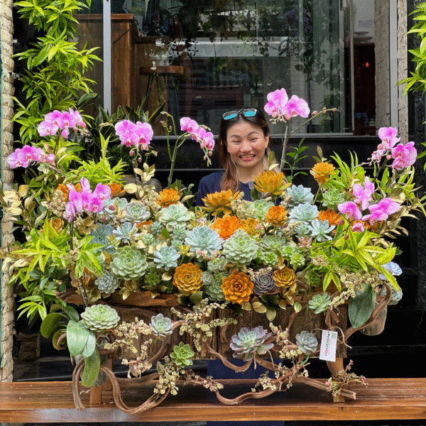 Gỗ Lũa Sen Đá Mix Lan Hồ Điệp Mini Hồng: Món Quà Sang Trọng Dành Tặng Đối Tác, Hoa Tặng Doanh Nhân