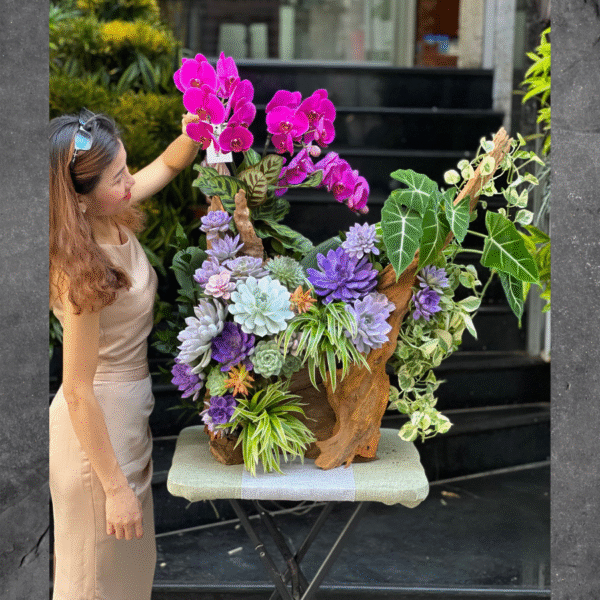 Sen Đá Trồng Gỗ Lũa Mix Lan Hồ Điệp Tím – Hoa Sinh Nhật Độc Đáo, Hoa Khai Trương Hiện Đại