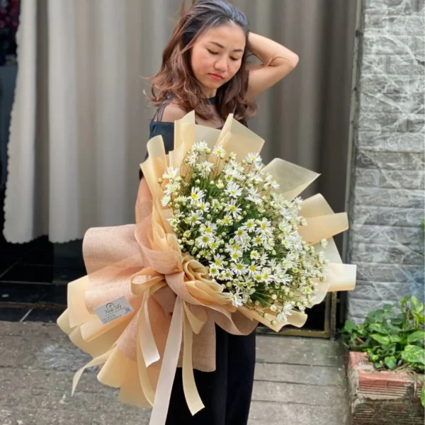 Cúc Hoạ Mi Giá Bao Nhiệu Tại TPHCM?