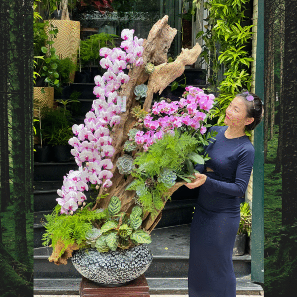 Lũa Gỗ Lan Hồ Điệp Mix Sen Đá Hoành Tráng- Hoa Chúc Mừng Sang Trọng