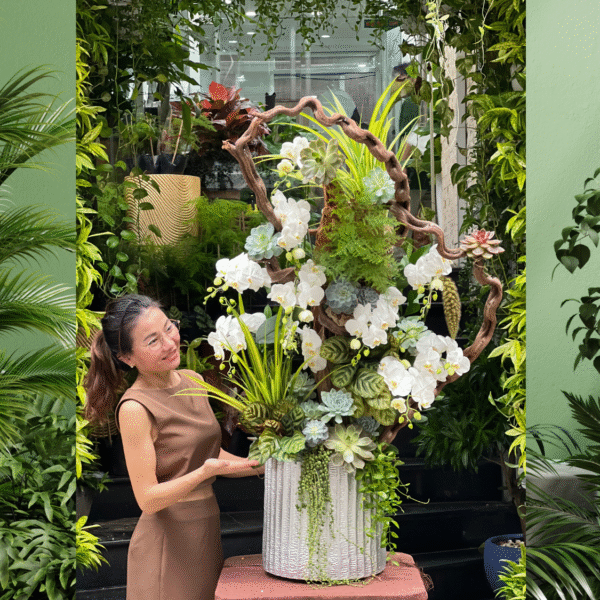 Bình Lan Hồ Điệp Trắng Mini Để Bàn Mix Sen Đá Decor Dây Rừng – Hoa Sinh Nhật Sang Trọng