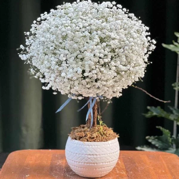 hoa-17-compressed-600x601.jpg.webp Lẵng Hoa Baby - Image 1