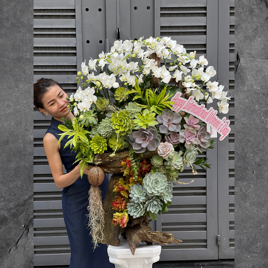 hoa-lan-diep.png Gỗ Lũa Ghép Lan Hồ Điệp Trắng Mini Mix Sen Đá Tặng Khai Trương, Sinh Nhật, Tân Gia - Image 1