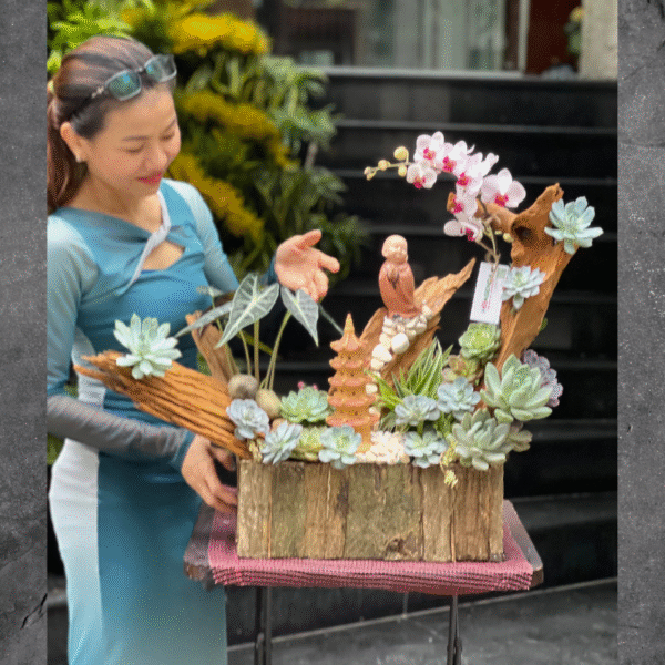 Chậu Lan Hồ Điệp Gỗ Lũa Để Bàn Mix Sen Đá – Tiểu Cảnh Hồ Điệp Mini Độc Đáo