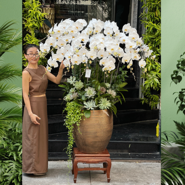 Bình Hoa Lan Hồ Điệp Trắng Siêu To Mix Sen Đá – Món Quà Mừng Thăng Chức Cao Cấp, Ý Nghĩa