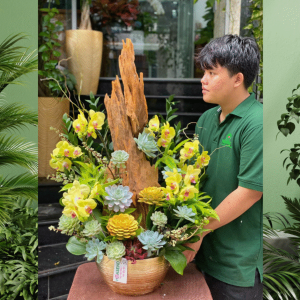 Hoa Lan Hồ Điệp Vàng Mix Sen Đá Trồng Cùng Gỗ Lũa- Hoa Tặng Tân Gia Đẹp Và Sang