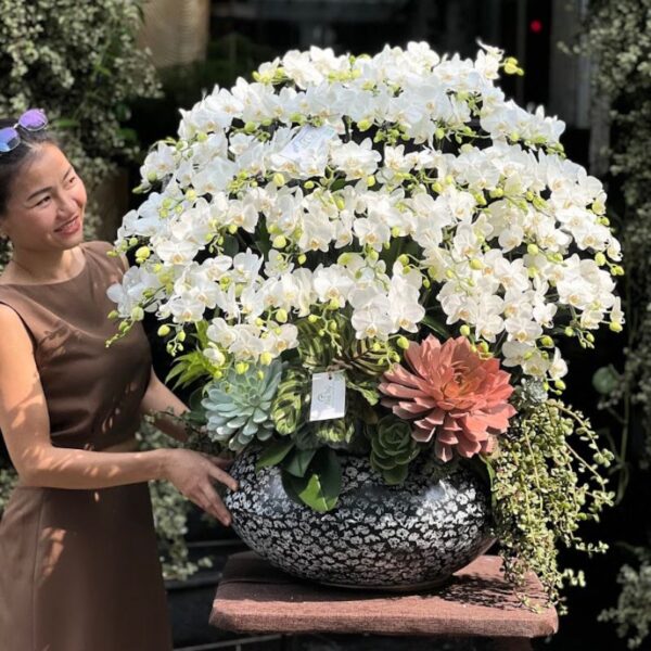 Lan Hồ Điệp Mini Trắng – Hoa Sinh Nhật, Hoa Khai Trương Hiện Đại