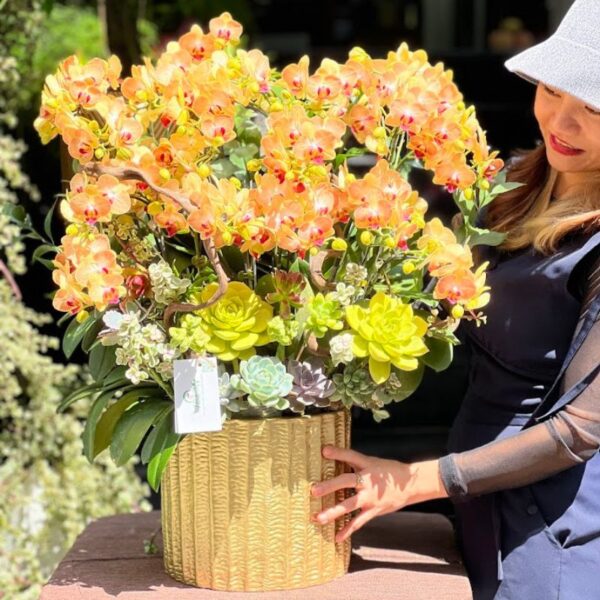 Chậu Lan Hồ Điệp Mini Cam Rực Rỡ – Hoa Tặng Khai Trương, Tân Gia Đẹp Tươi Lâu