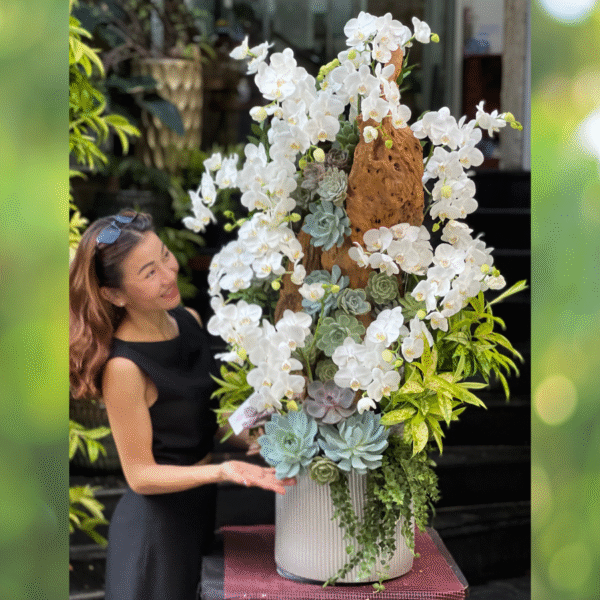 Chậu Lan Hồ Điệp Trắng Ghép Gỗ Lũa Để Bàn Mix Sen Đá – Món Quà Ý Nghĩa Sang Trọng