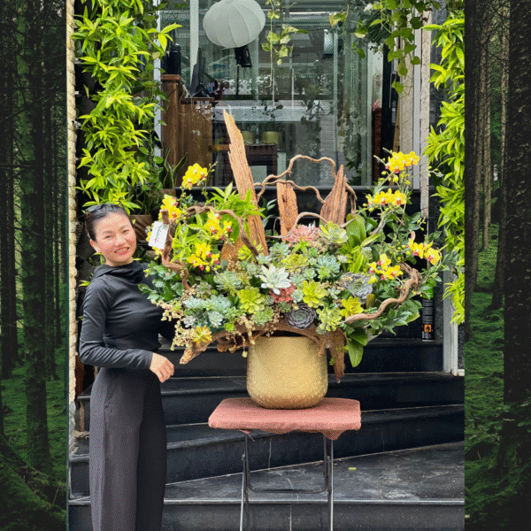 Bình Lan Hồ Điệp Mini Để Bàn Trồng Gỗ Lũa Mix Sen Đá: Món Quà Khai Trương Lộc Phát