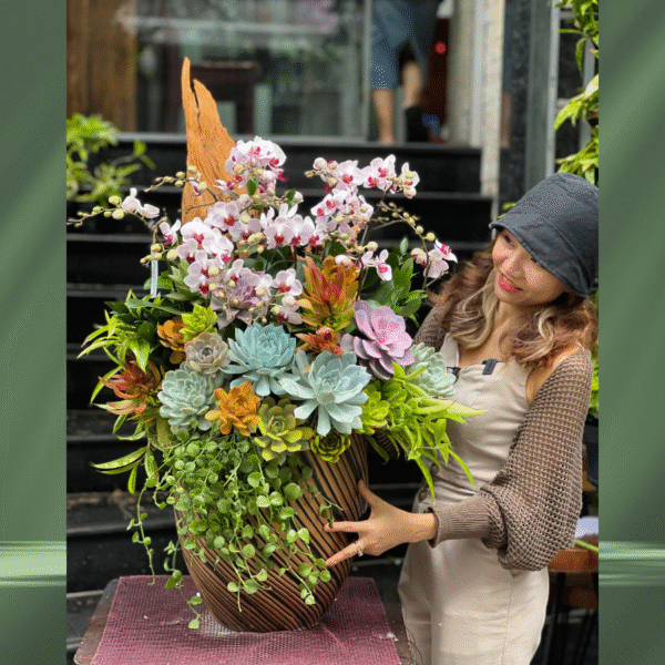 Chậu Hoa Lan Hồ Điệp De Bàn – Lan Mini Mix Sen Đá Decor Trên Lũa Gỗ Tặng Sinh Nhật Sếp Nữ Sang Xịn