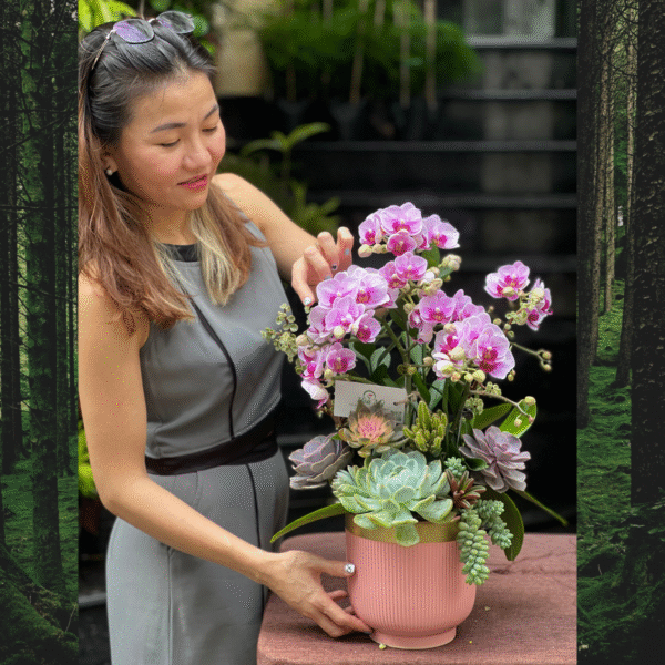 Chậu Lan Hồ Điệp Nhỏ Để Bàn Mix Sen Đá – Giải Pháp Giảm Stress Hiệu Quả Cho Bàn Làm Việc