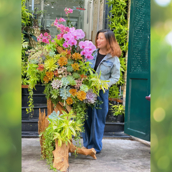 Hoa Lan Hồ Điệp Trồng Gỗ Lũa Với Sen Đá