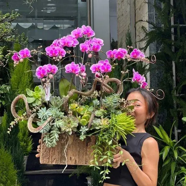 qua-tang-tan-gia-tu-hoa-lan-ho-diep-mix-hoa-sen-da-2-600x600.jpg.webp Hoa Tết 2024- Lan Hồ Điệp Mix Hoa Sen Đá - Image 1