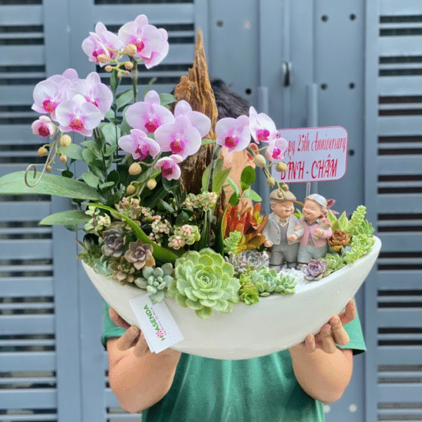 Chậu Lan Hồ Điệp Mini Hồng Nhạt Mix Sen Đá và Lũa Gỗ Để Bàn- Món Quà Kỷ Niệm Ngày Cưới Ý Nghĩa
