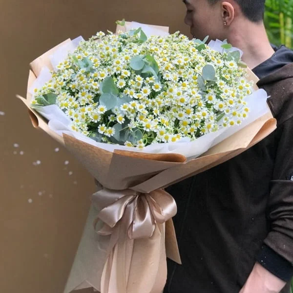 y_nghia_hoa_cuc_tana_la_gi.jpg.webp Hoa Cúc Tana Đẹp - Image 1