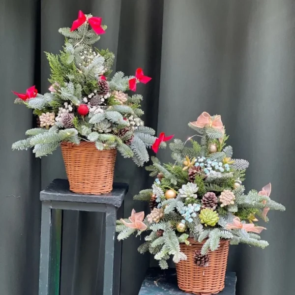 Cây Thông Để Bàn Nhập Khẩu Từ Đan Mạch