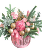 [Christmas Combo] Family 2: Cutie Noel, Hồng Sâm Trẻ Em