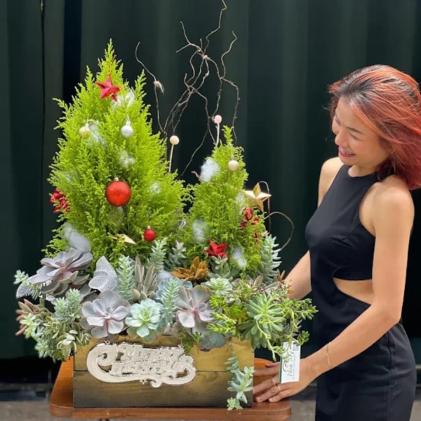 Cây Thông Noel Thật Mix Sen Đá Tiểu Cảnh Khu Vườn Thiên Nhiên
