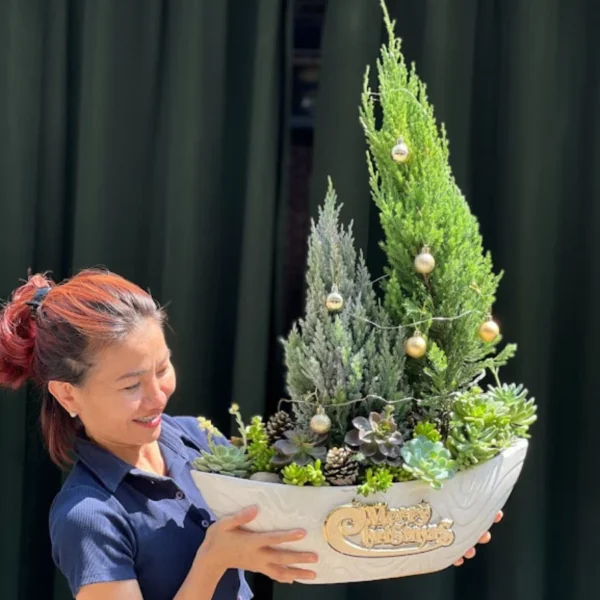 Cây Tùng Noel Đẹp Mix Sen Đá Phong Thủy-Cây Thông Giáng Sinh 2024
