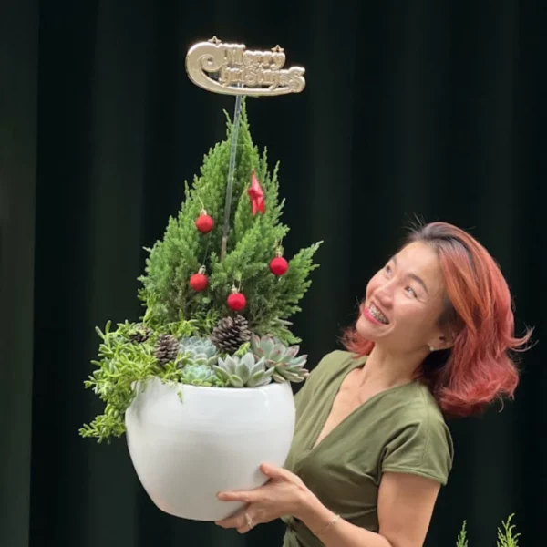 Cây Thông Noel Mini Giá Bao Nhiêu Tiền?