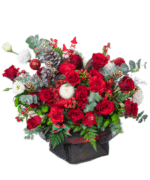 [Christmas Combo] Siblings: The First Noel, Hồng Sâm HQ