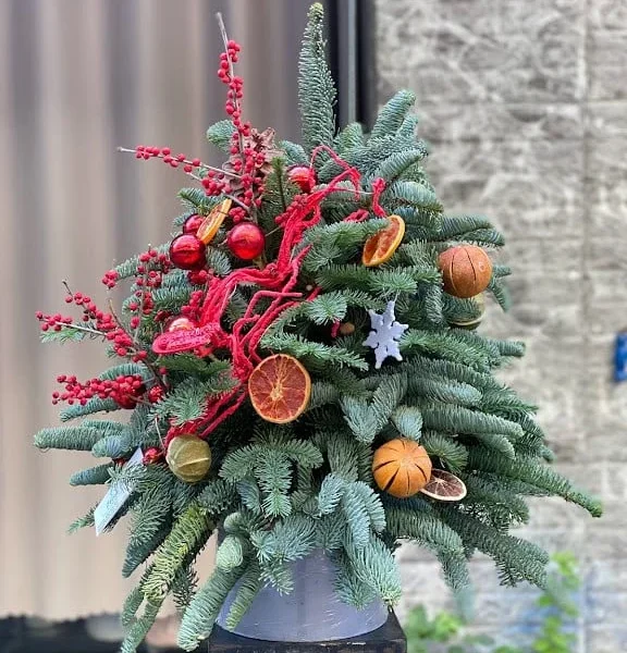 Cây Thông Thật Nhập Khẩu “Made In” Đan Mạch Chính Hãng