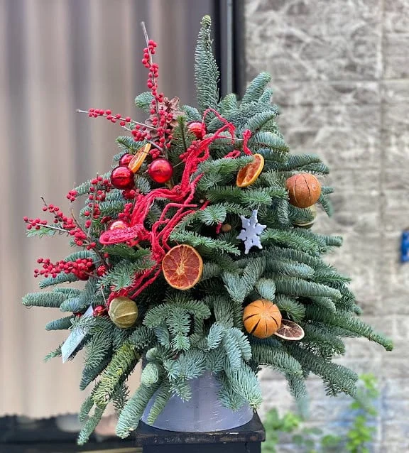 IMG_8982.jpg.webp Cây Thông Thật Nhập Khẩu “Made In” Đan Mạch Chính Hãng - Image 1